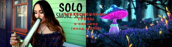 ГАЛЛЮЦИНОГЕННЫЕ ГРИБЫ Куйбышев