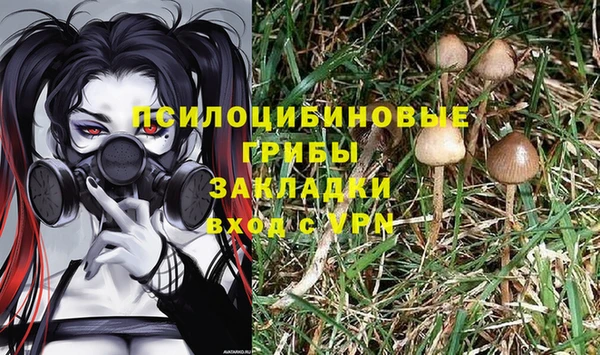 2c-b Лабытнанги