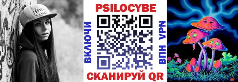 Псилоцибиновые грибы Psilocybe Галич